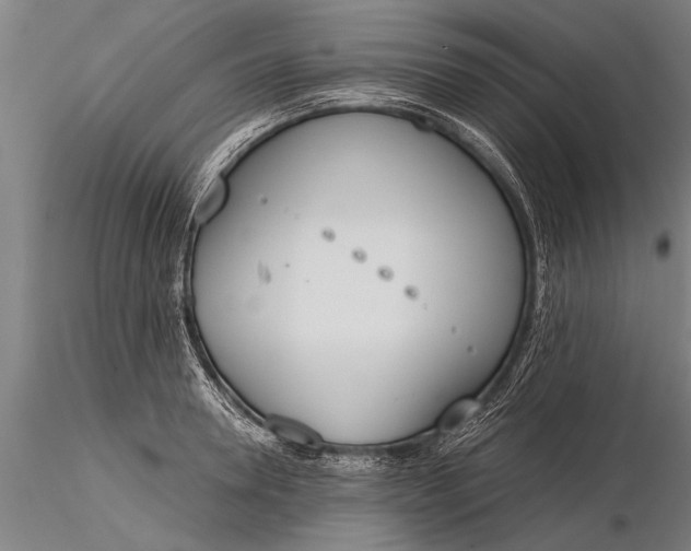 X0000116380946200912161457