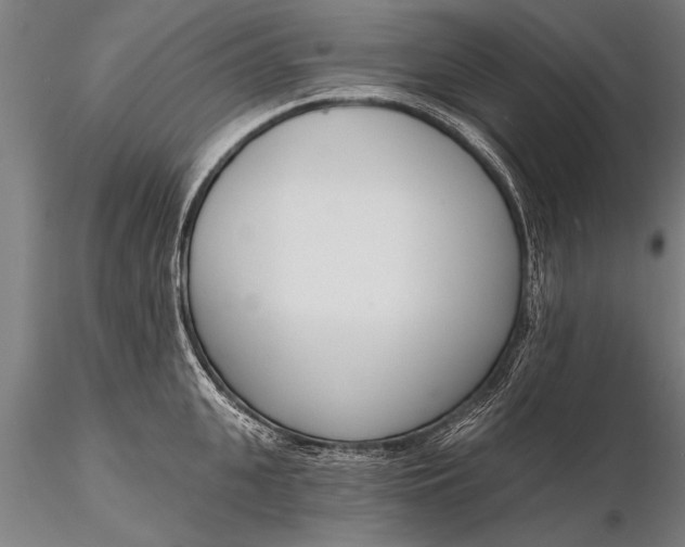 X0000116380951200912161457