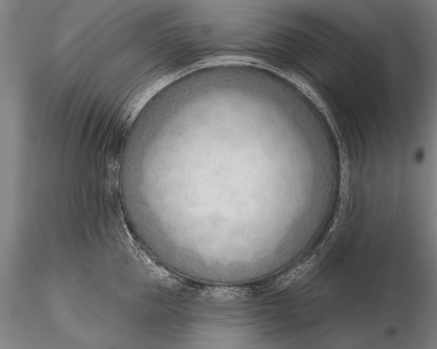 X0000116380953200912161457