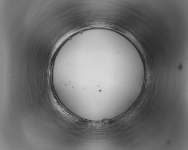 X0000116380955200912161457