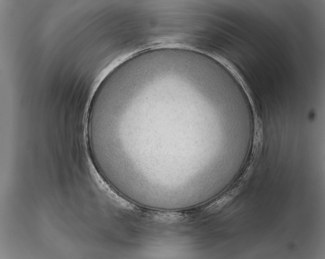 X0000116380957200912161457