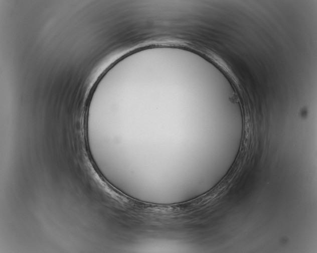X0000116380959200912161458