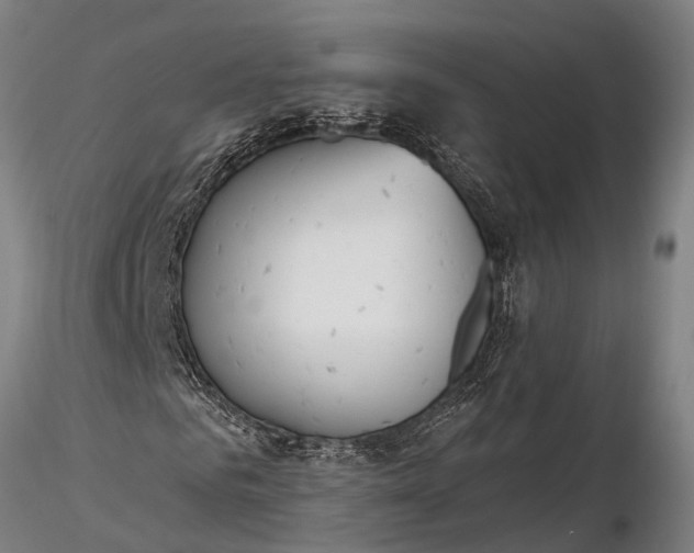 X0000116380961200912161457