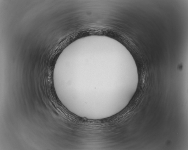 X0000116380964200912161457