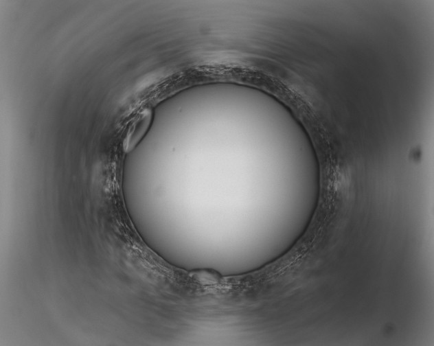 X0000116380965200912161457