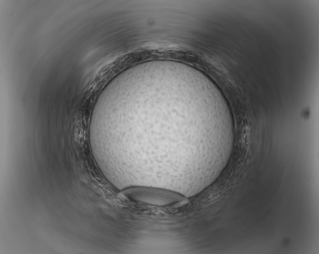 X0000116380966200912161457