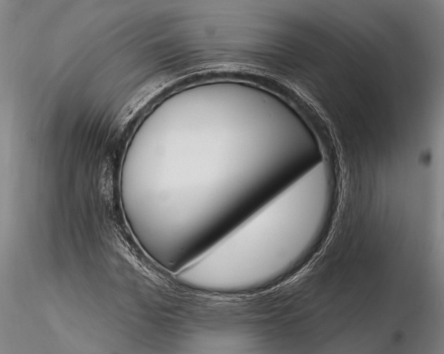 X0000116380969200912161457