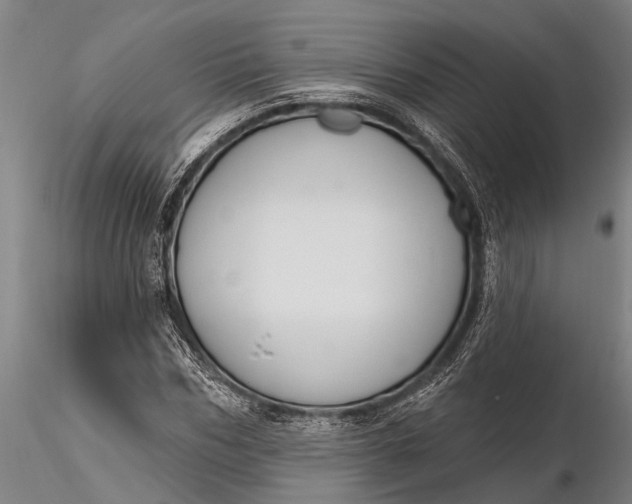X0000116380970200912161457