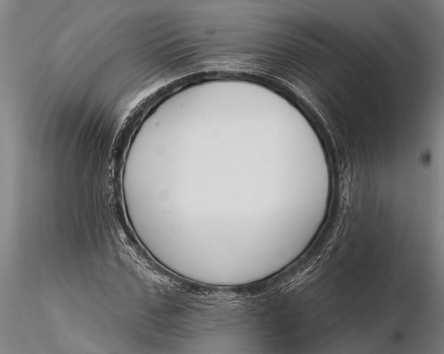 X0000116380971200912161457