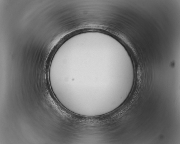 X0000116380972200912161457