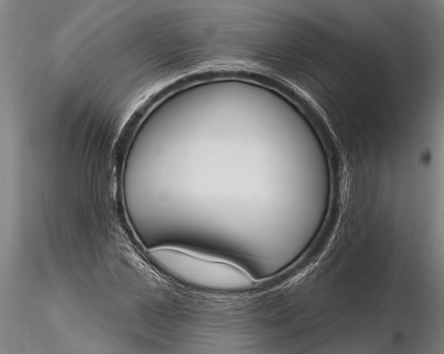 X0000116380973200912161457