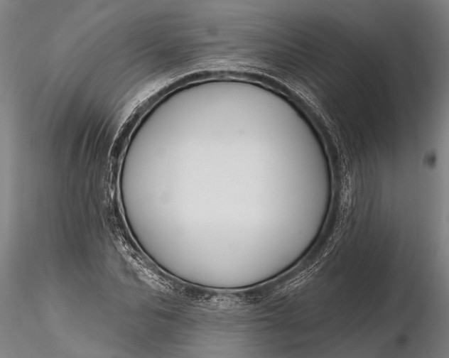 X0000116380974200912161457