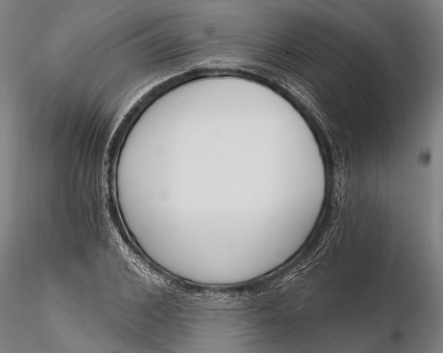 X0000116380976200912161457