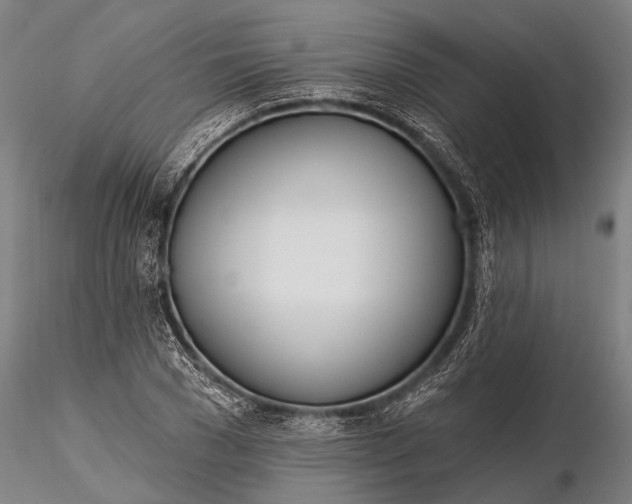 X0000116380977200912161457