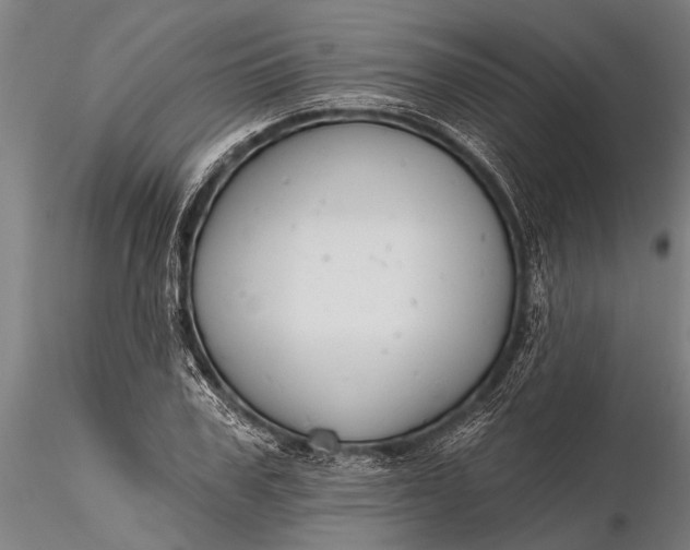 X0000116380979200912161457