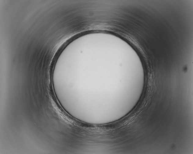 X0000116380980200912161457