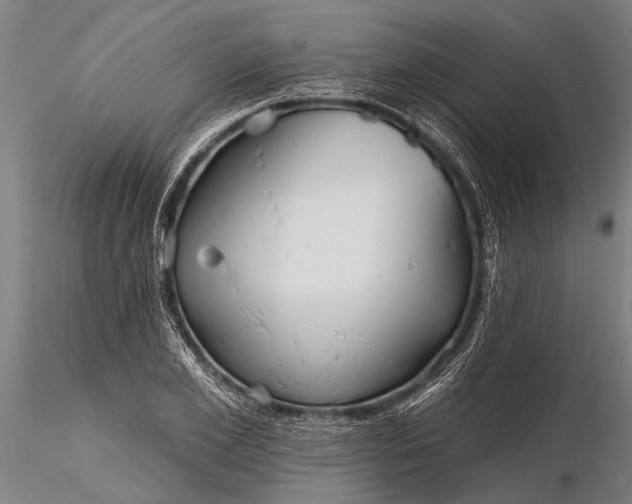 X0000116380981200912161457