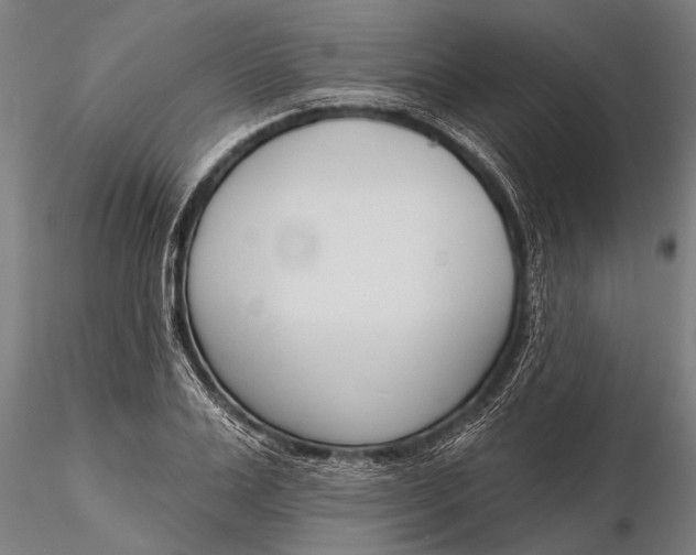 X0000116380983200912161457