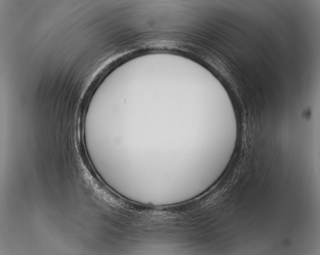 X0000116380984200912161457