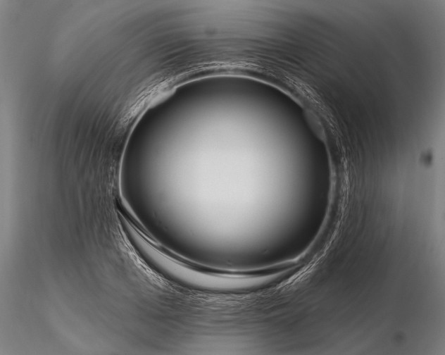 X0000116380985200912161457