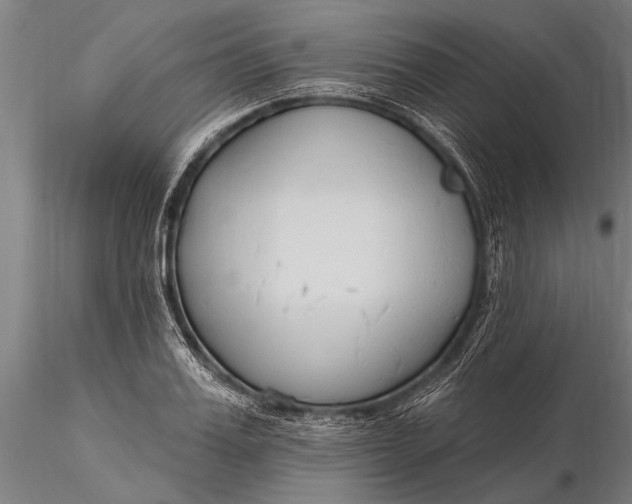 X0000116380987200912161456