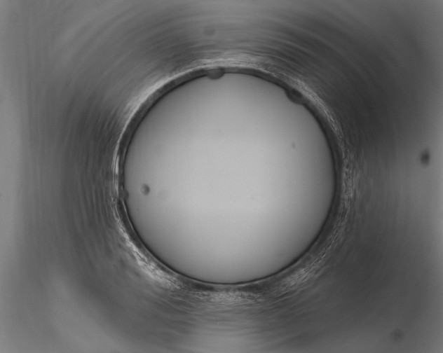 X0000116380988200912161456