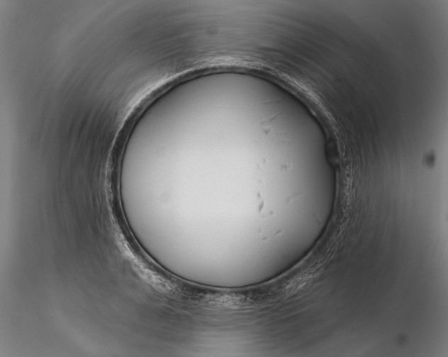 X0000116380991200912161456