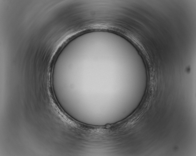 X0000116380992200912161456