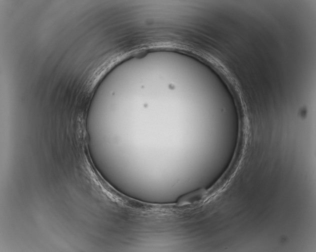 X0000116380993200912161456