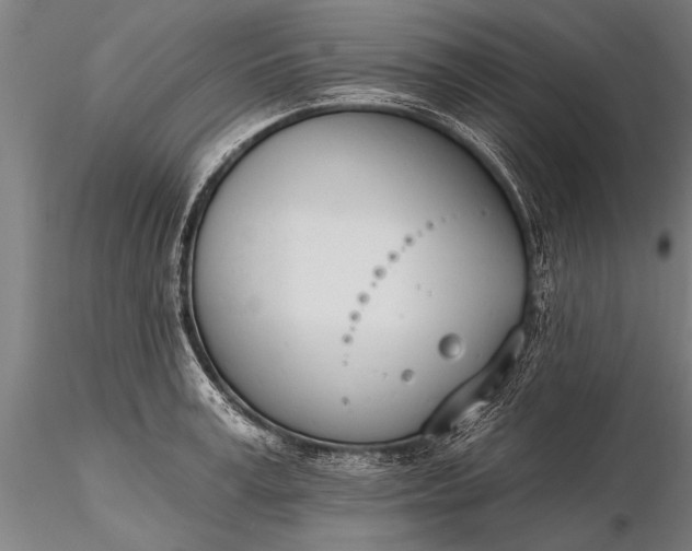 X0000116380995200912161456