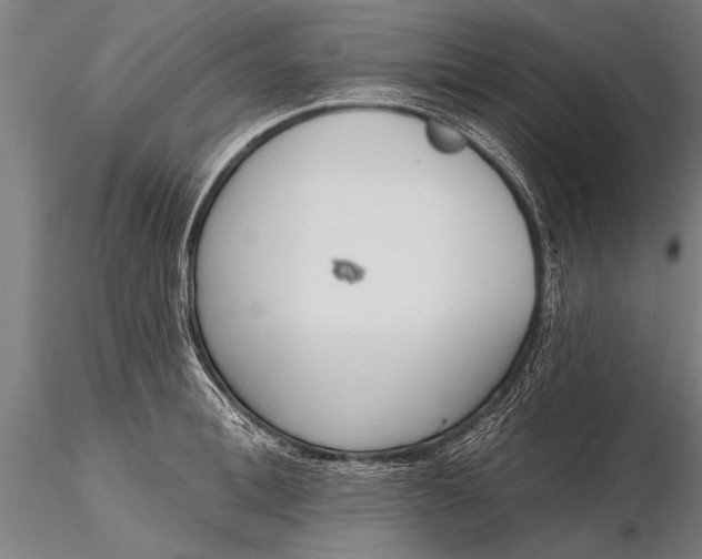 X0000116380996200912161456