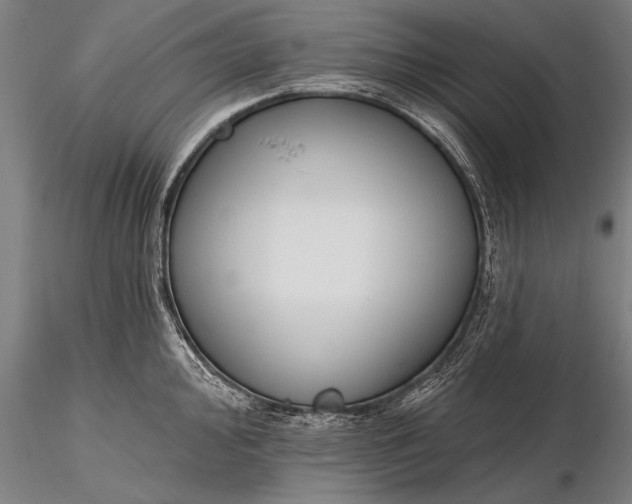 X0000116381000200912161456