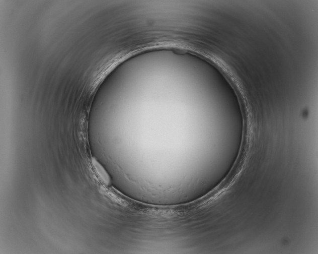 X0000116381001200912161456