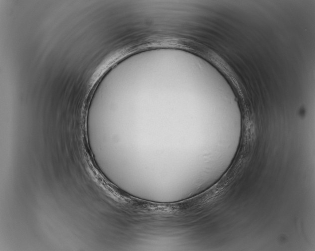 X0000116381002200912161456