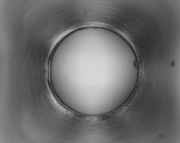 X0000116381003200912161456