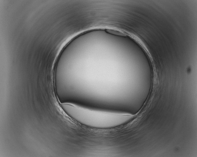 X0000116381004200912161456