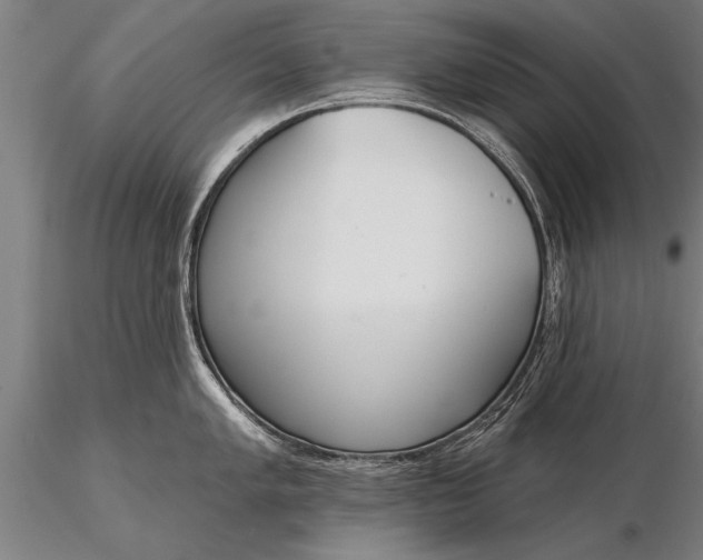 X0000116381005200912161456