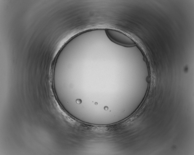 X0000116381006200912161456