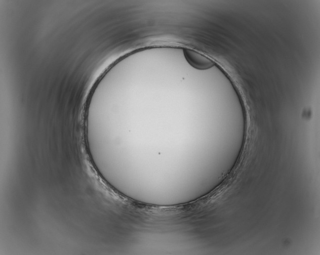 X0000116381008200912161456