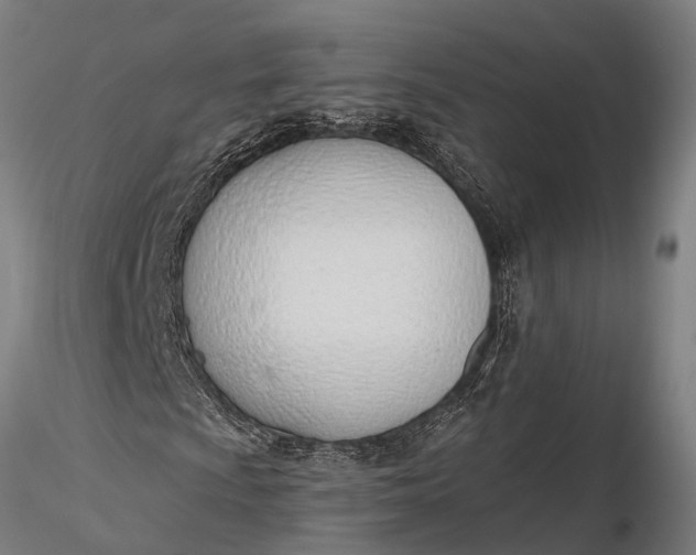 X0000116381009200912161456