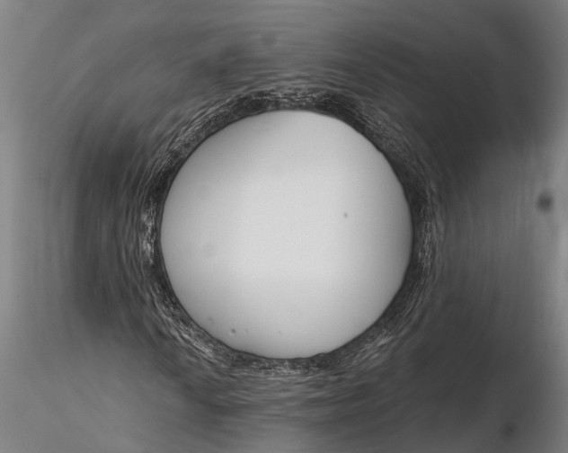 X0000116381010200912161456
