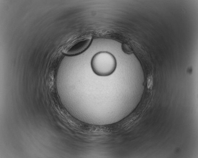 X0000116381011200912161456