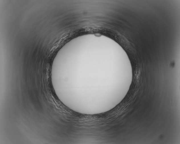 X0000116381012200912161456