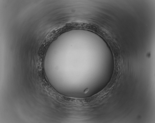 X0000116381013200912161456