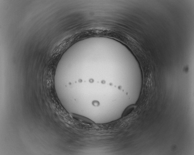 X0000116381014200912161456