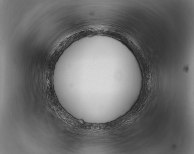 X0000116381016200912161456