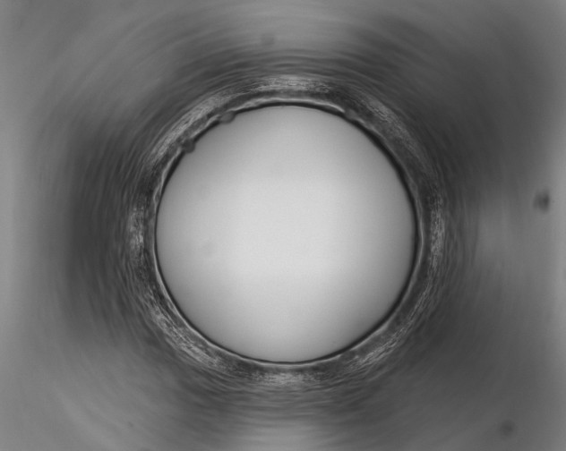 X0000116381017200912161456