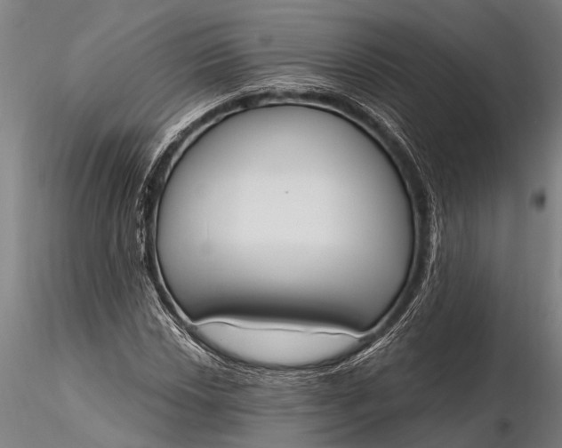 X0000116381018200912161456