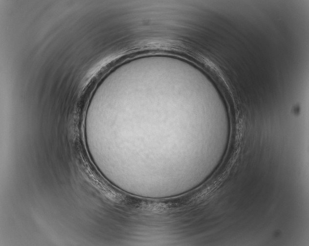 X0000116381019200912161456