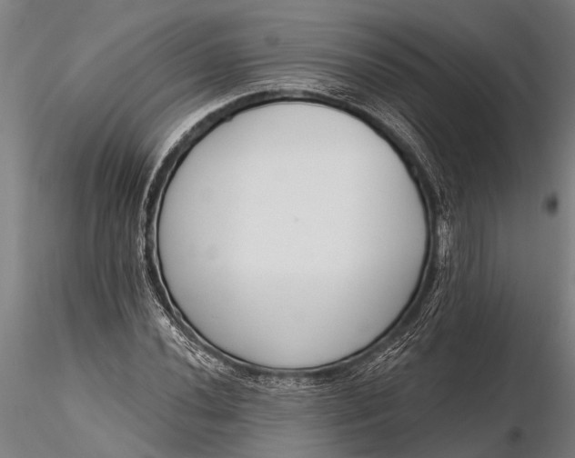X0000116381020200912161456